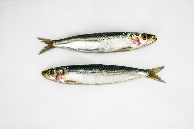 sardinas EFA