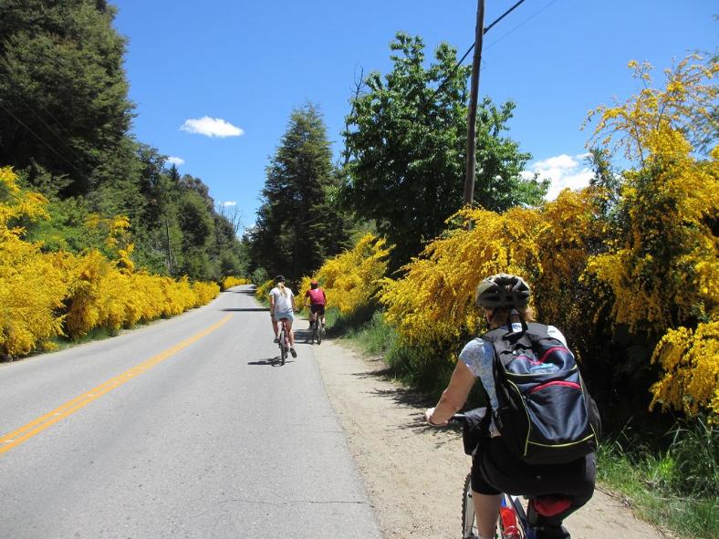 recorrido en bicicleta alquilada