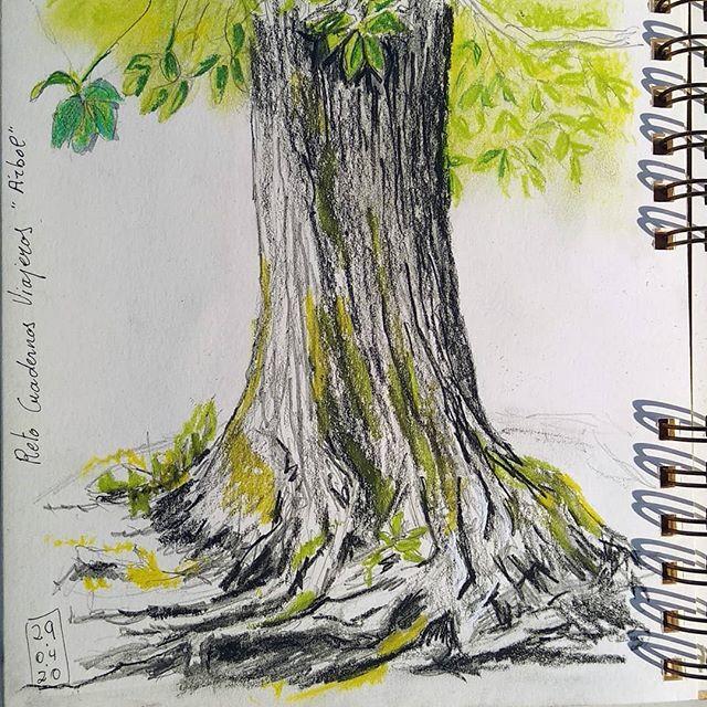 en tiempos del corona virus