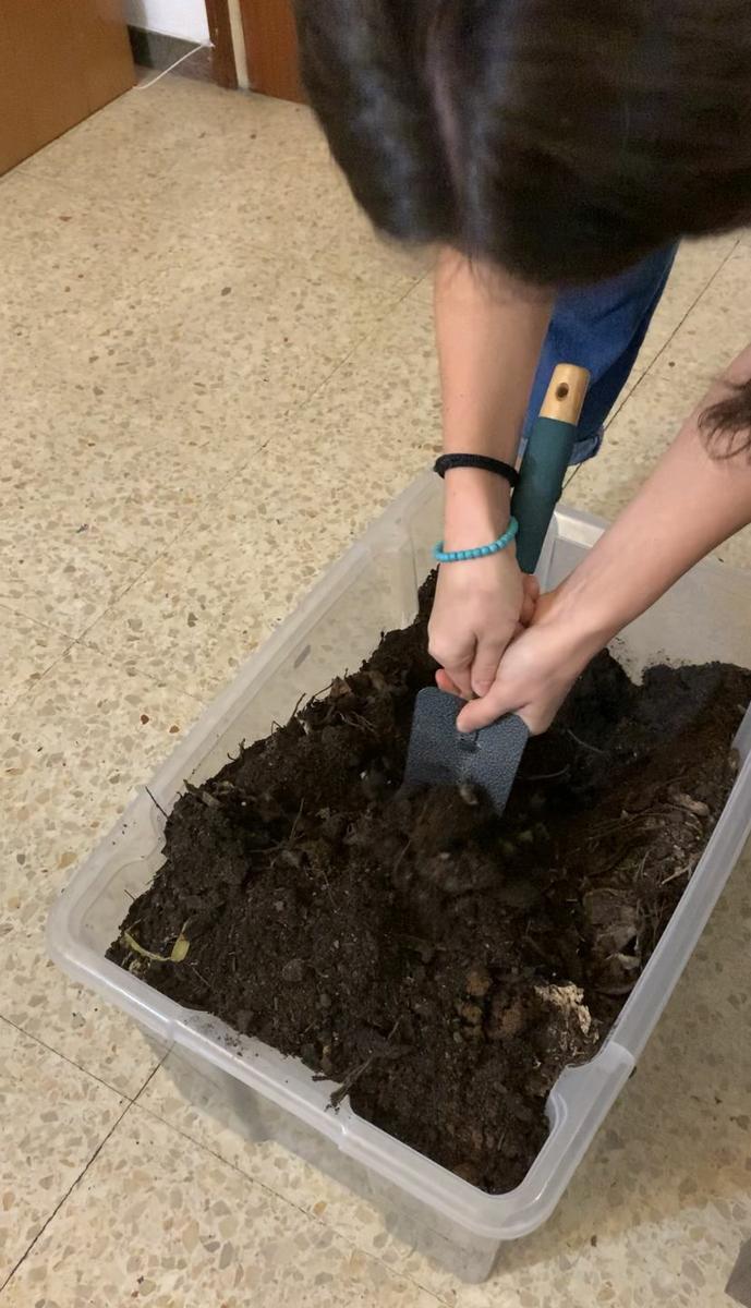 Hacer compost en un piso