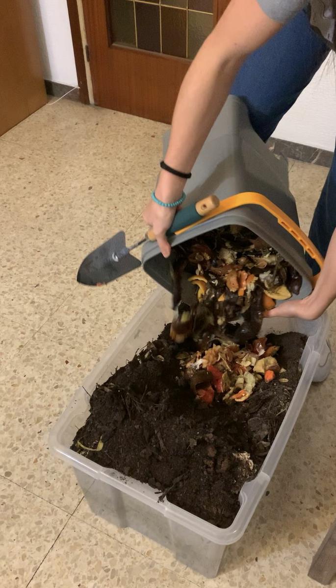 8. Vierte los restos en la caja para que se descompongan del todo