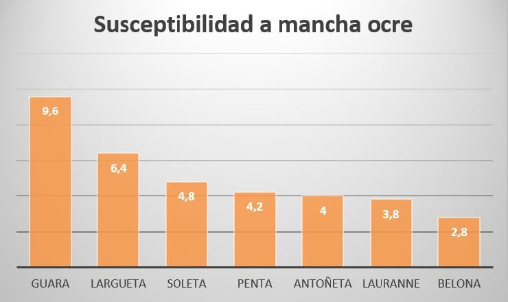 Mancha ocre y variedades de almendro