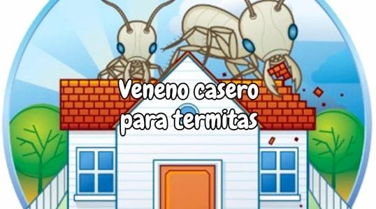 Veneno casero para termitas