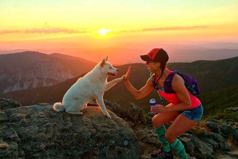 running con tu perro