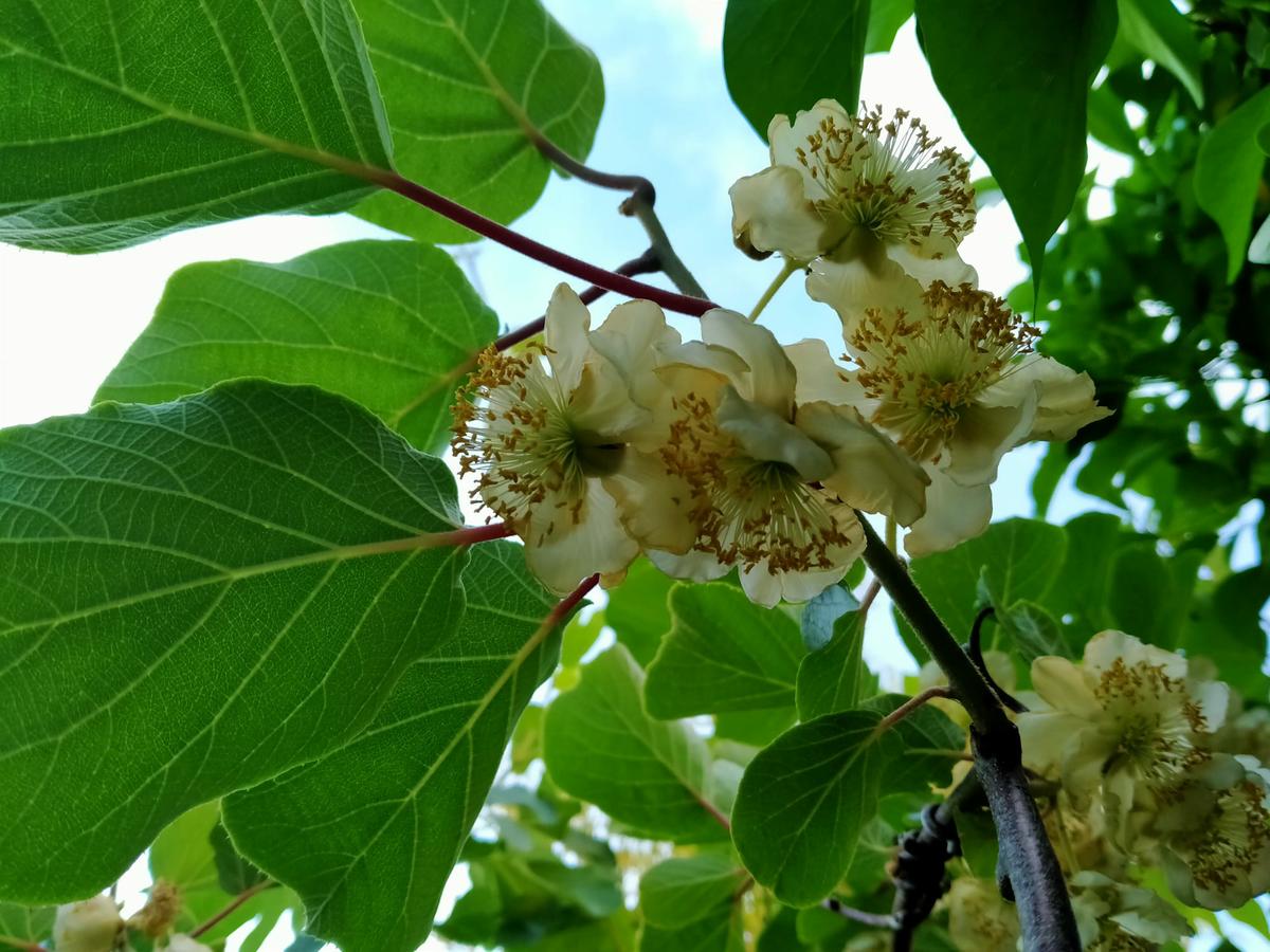 Mobiliario exterior de jardín