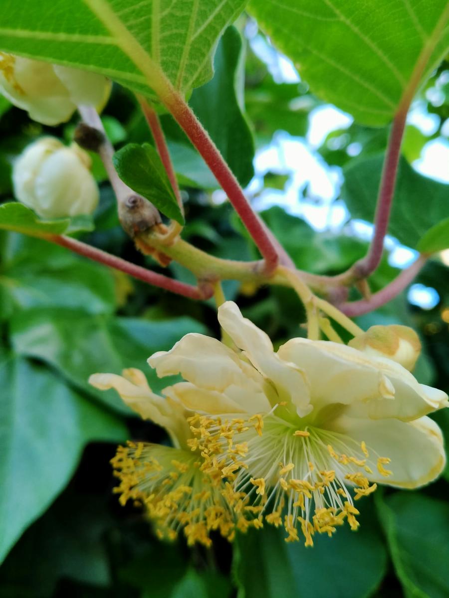 Mobiliario exterior de jardín