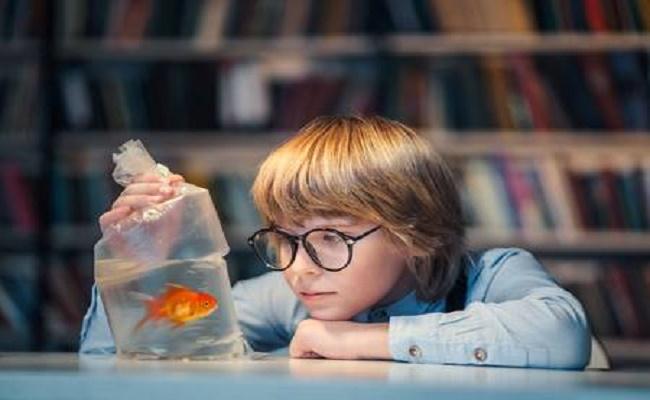 Añadir peces suavemente a un tanque