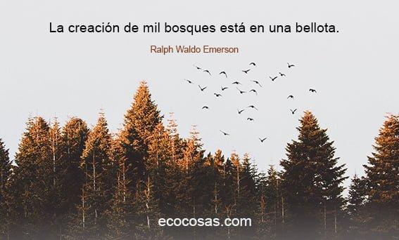 pensamientos positivos