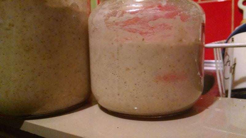 que es la masa madre