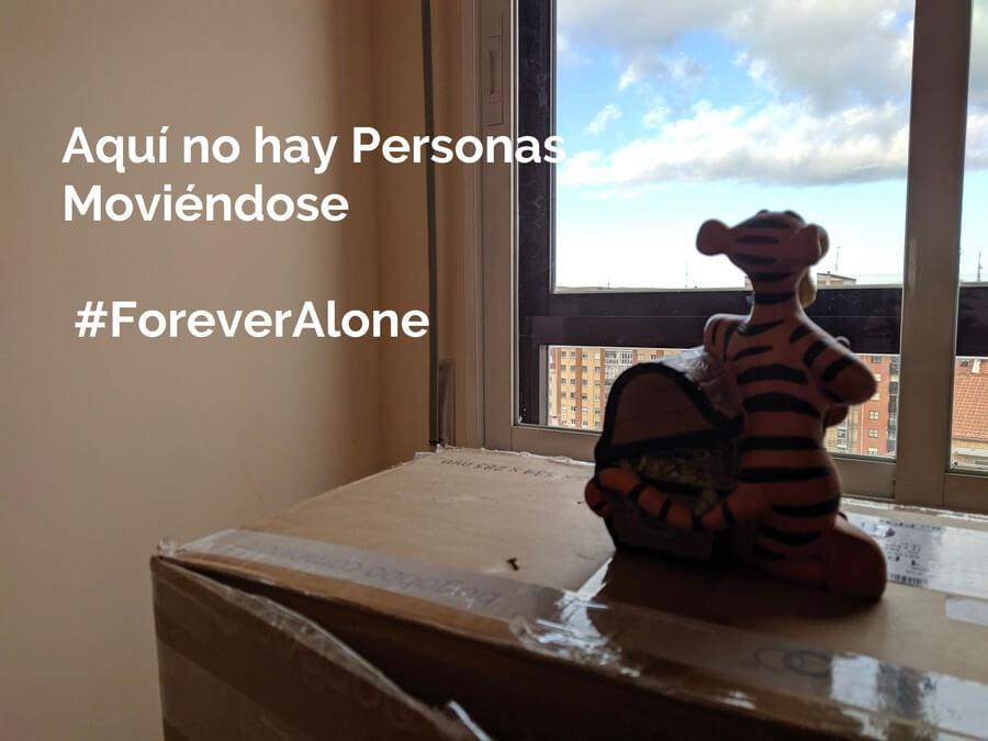 cuidado-entorno-objeto-escaneado-3d