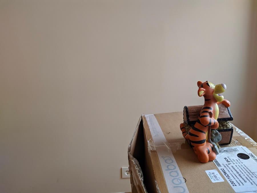 proporcion-escaneado-3d