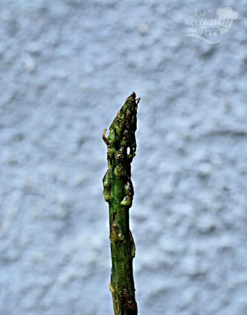 Esparragos Trigueros A La Plancha 05 2 1 1