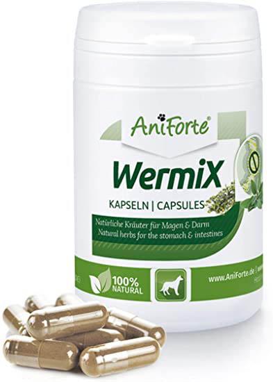 desparasitar perros pastillas antiforte