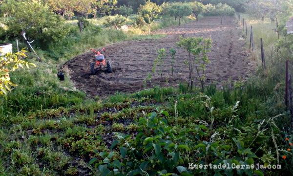 Huerta labrada