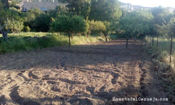 Así quedó la huerta en este primer día
