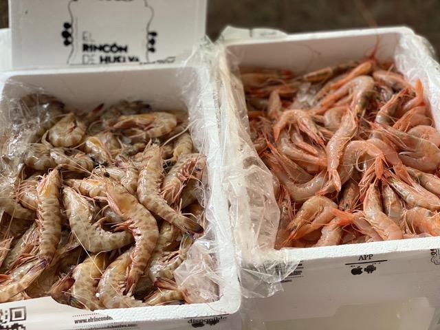 Encuentros en confinamiento. Estadio 2