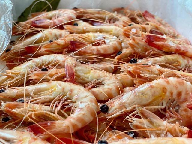 Encuentros en confinamiento. Estadio 2