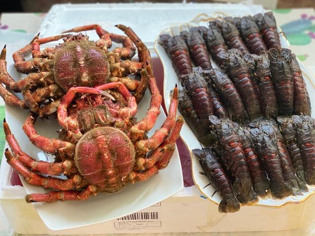 Encuentros en confinamiento. Estadio 2