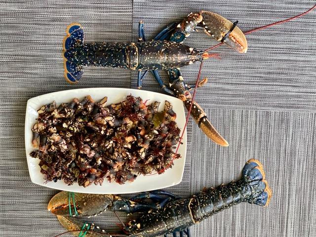 Encuentros en confinamiento. Estadio 2