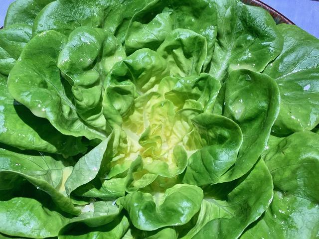 Conquistando el Paladar. CoQuetto Bar