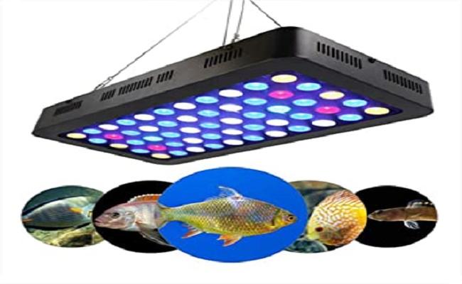 Iluminación del acuario
