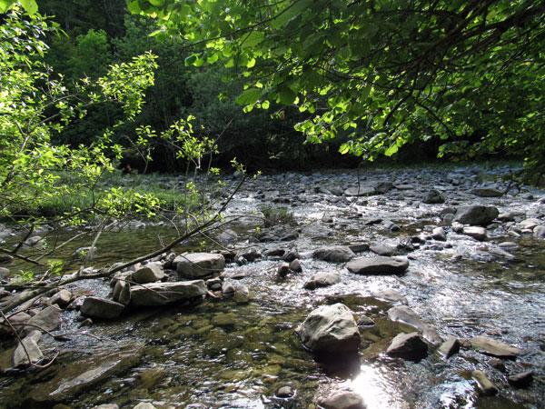 El sendero continúa, como diría Jorge Drexler, al otro lado del río