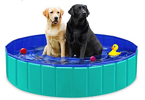 piscina para perros yaobluesea