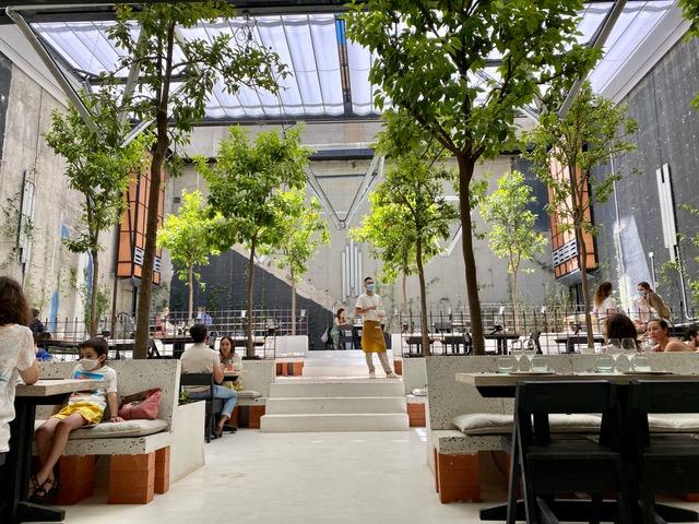 MOviendo Conciencias. MO de Movimiento