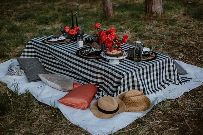 Vichy Rose: un picnic de lo más elegante