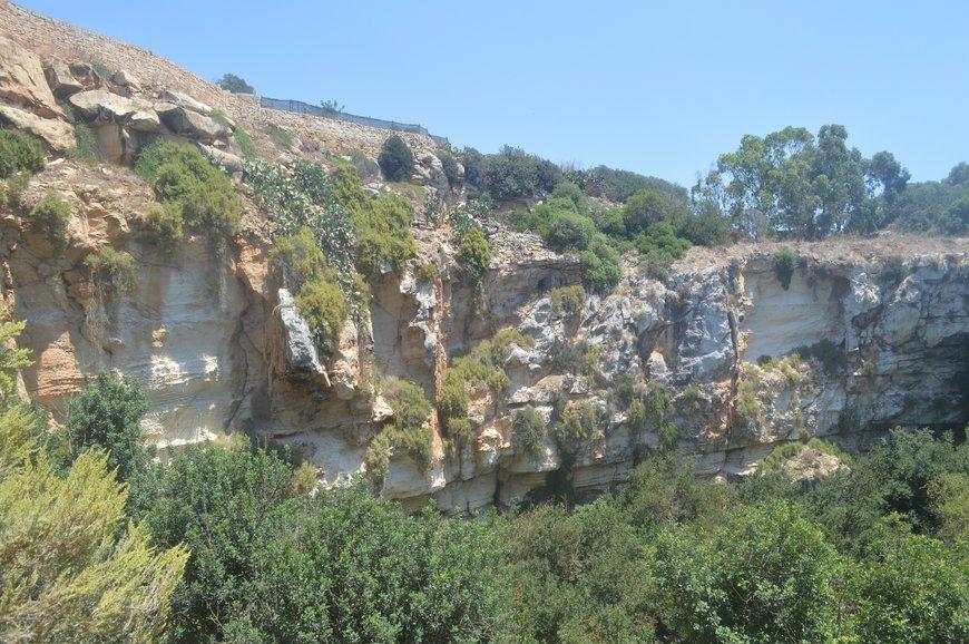 Vista de Maqluba 2014