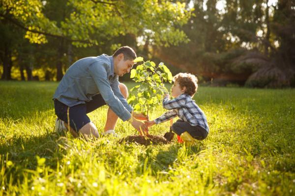 Por qué usar abonos organicos caseros