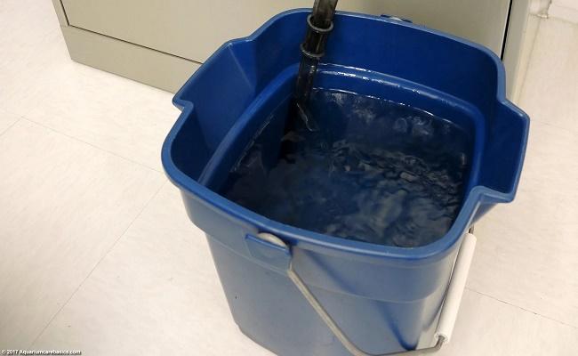 Calidad del agua del acuario