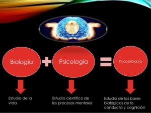 psicobiologia-1