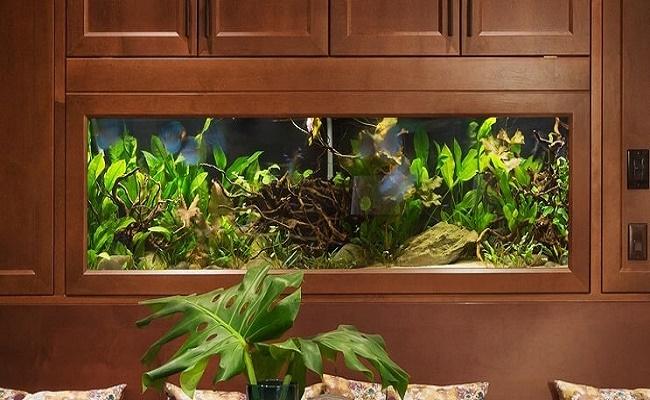 química del agua en su acuario