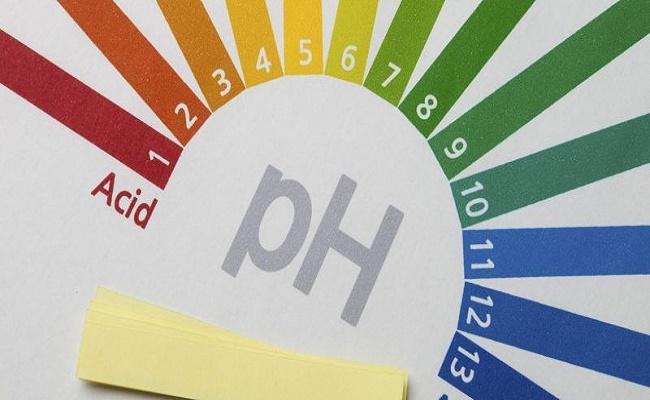 química del agua en su acuario