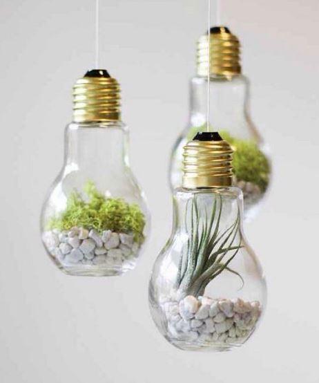 Decoración de plantas. Via Pinterest.