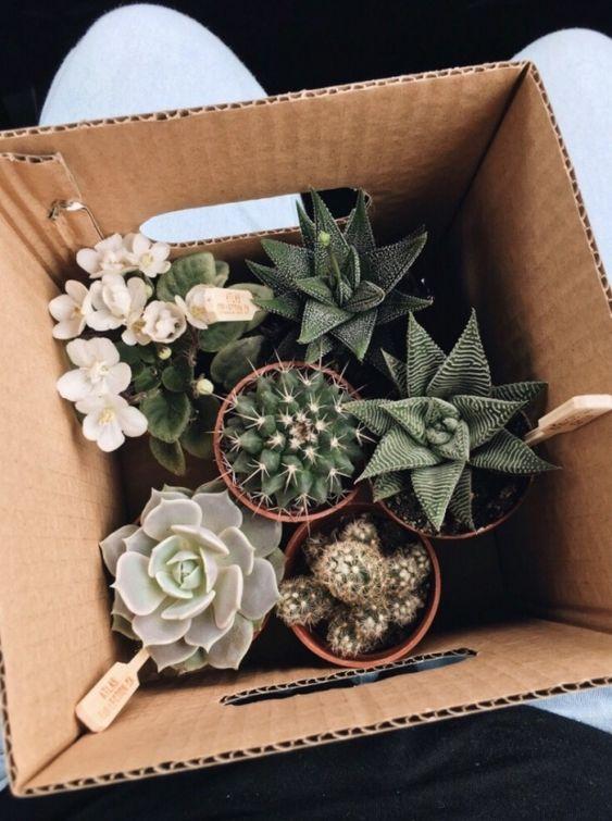 regalos para una amiga