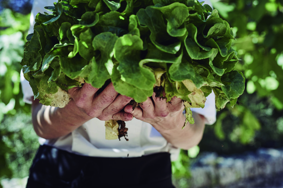 Finca Serena Mallorca