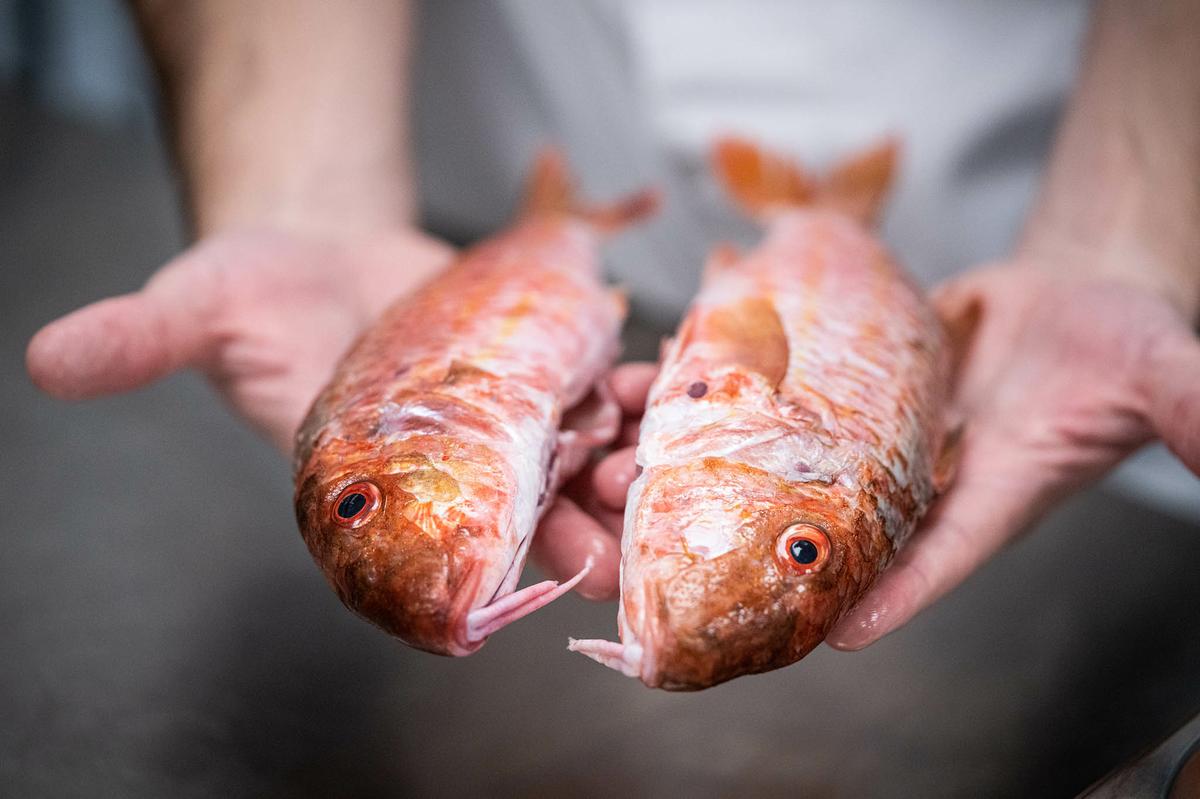 Finca Serena Mallorca