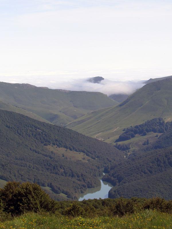 Embalse de Irabia, un oasis en mitad de la selva