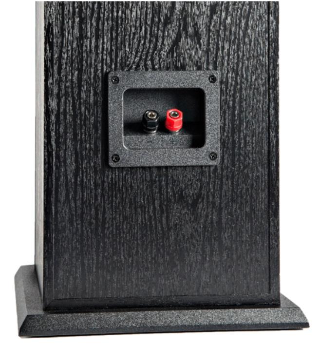 Bornes revestidos en oro para mejor conectividad