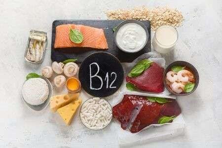 la vitamina B12, donde se encuentra.