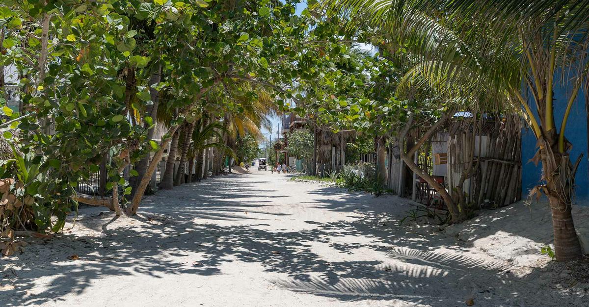 Circuitos Ecoturisticos de México