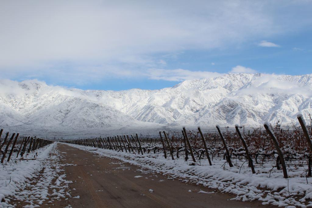 BodegaSanHuberto