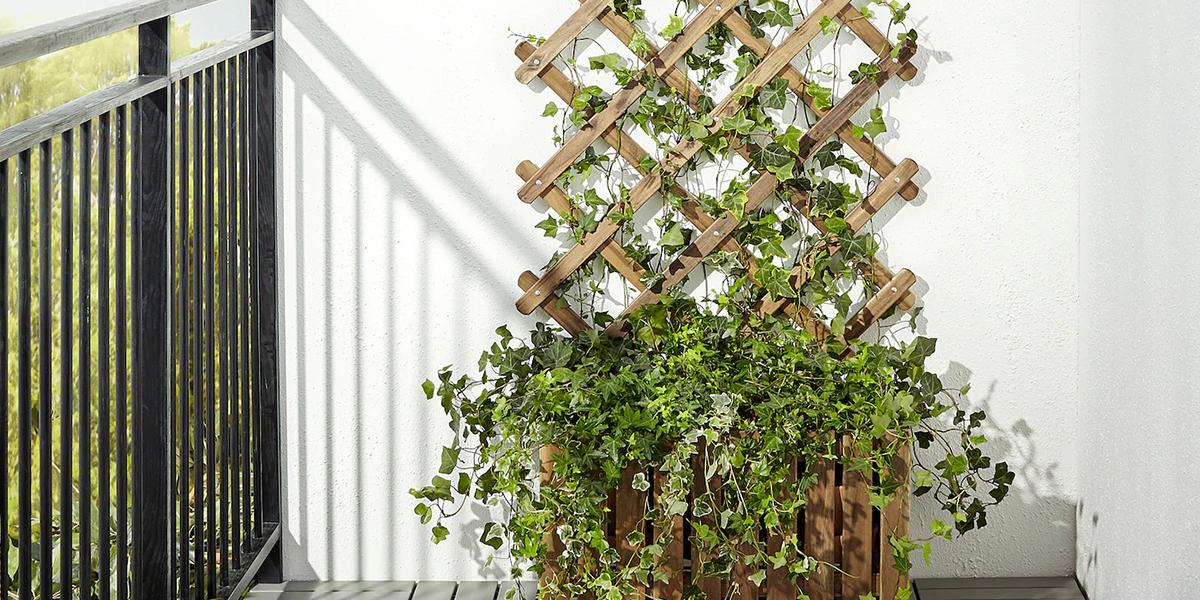 Jardín vertical Askholmen