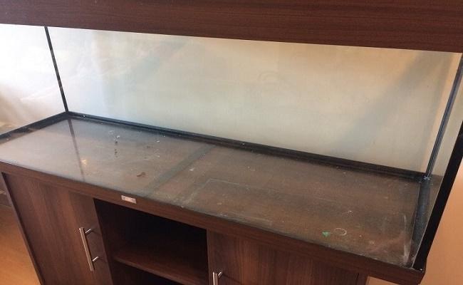 instalar una pecera