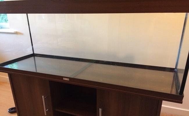 instalar una pecera