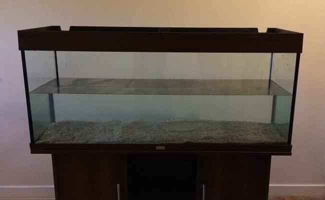 instalar una pecera