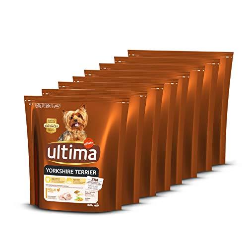 ultima Pienso para Perros Yorkshire Terrier con Pollo - Pack de 8 x 800 g, Total: 6.4 kg