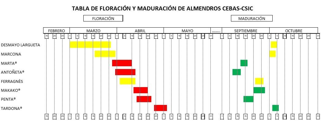 Variedades de almendro Csic